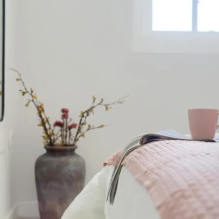 公寓 Recently Renovated, With Views, Barbecue And Outdoor Shower 科斯塔卡莱塔